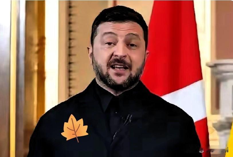 乌克兰内部分裂！前总理公开批评！乌克兰总统泽连斯基1月30日表示，绝不妥