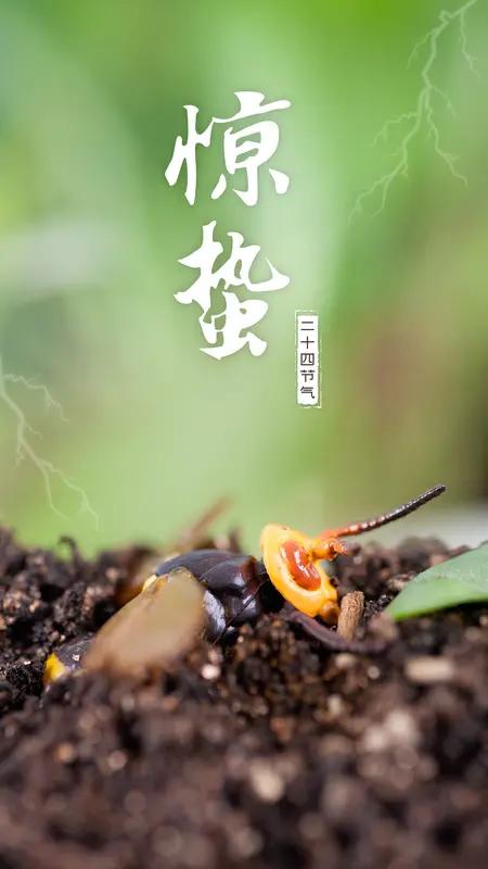 惊蛰一到，万物复苏！今年好运全在这一天！春雷一响，万物生长！今天就是惊蛰，