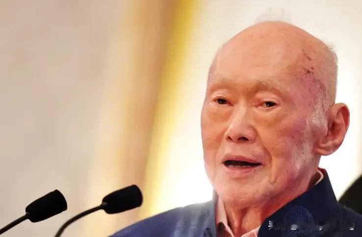 李光耀父子的一些行为确实让人难以理解和接受。在新加坡建国时，华人占比高达86%