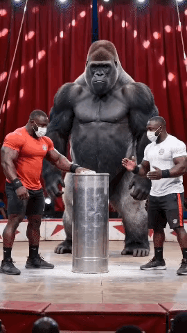 有没有感觉长的还是挺想的