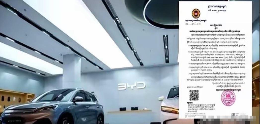 柬埔寨把中国新能源产品的关税，从35%直接干到了零。不是降一点，是直接归零。