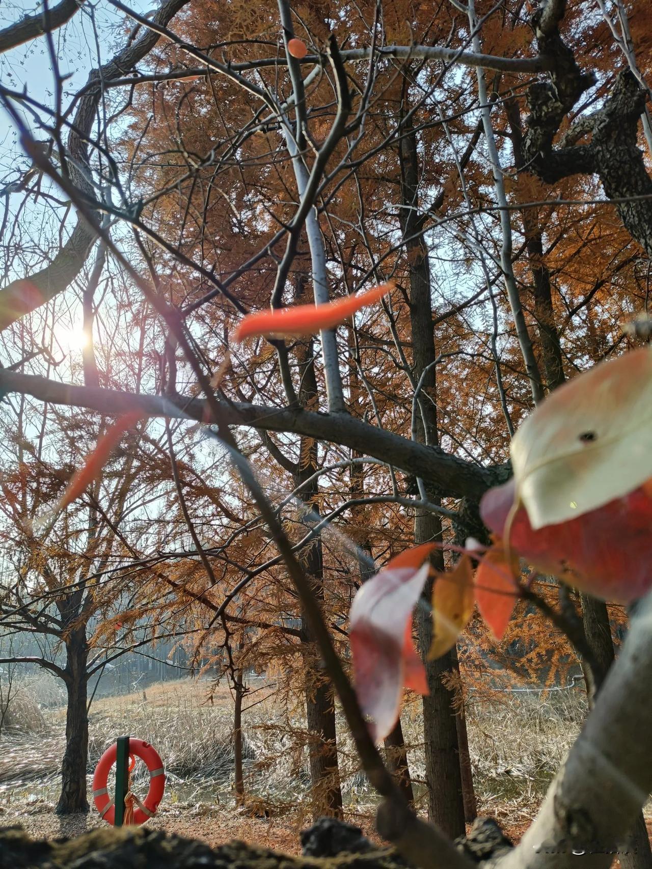 做小三也要有脑子，我见过两个极端的例子。70后美女A，长的好看，气质佳，90