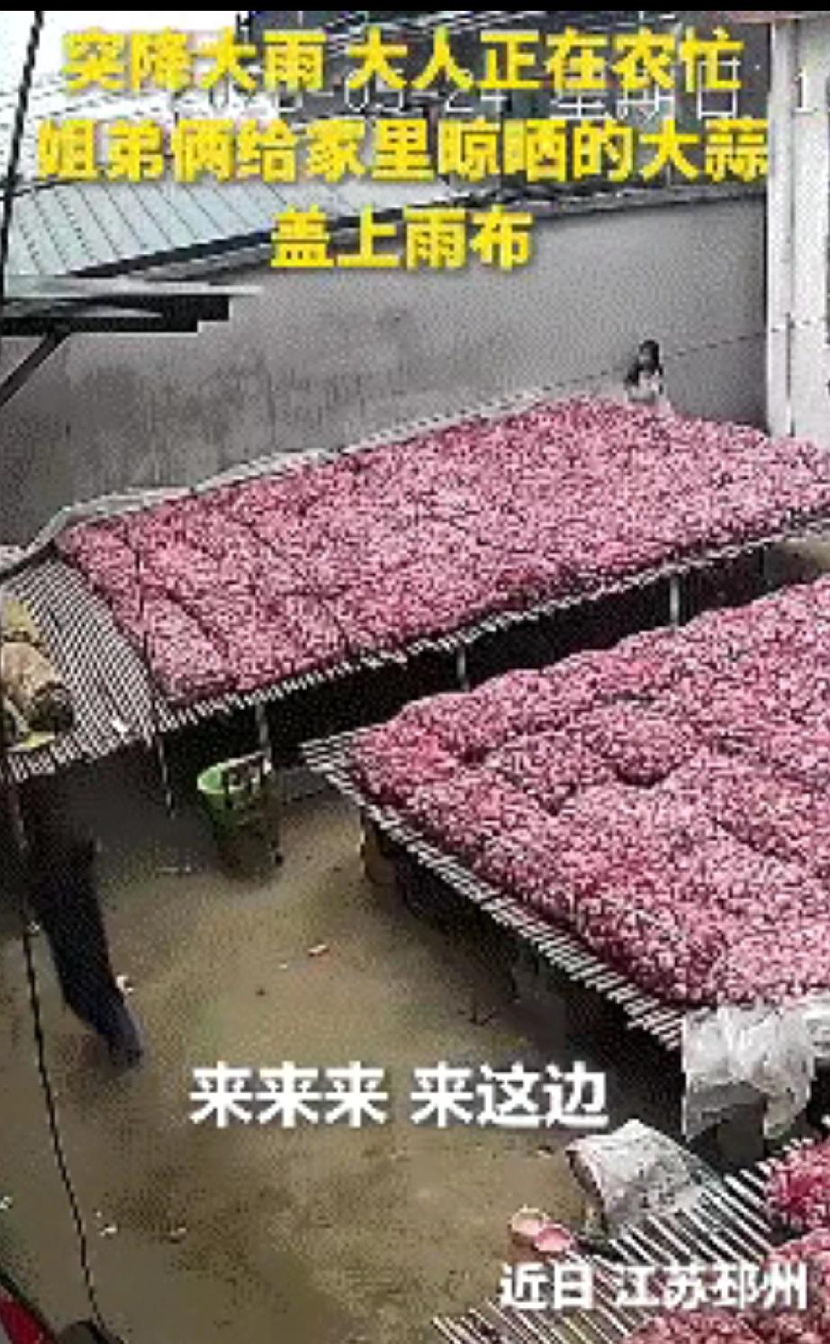上人民日报了。近日，江苏两个小孩立大功了，他们的举动，直接让全网都竖起了大拇指
