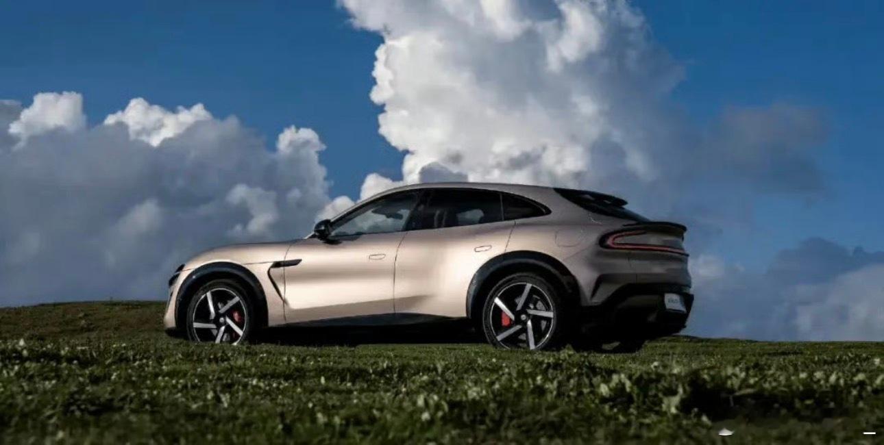 2月新能源SUV销量榜出炉，头尾差距超2万台，这分化也太真实了。ModelY单