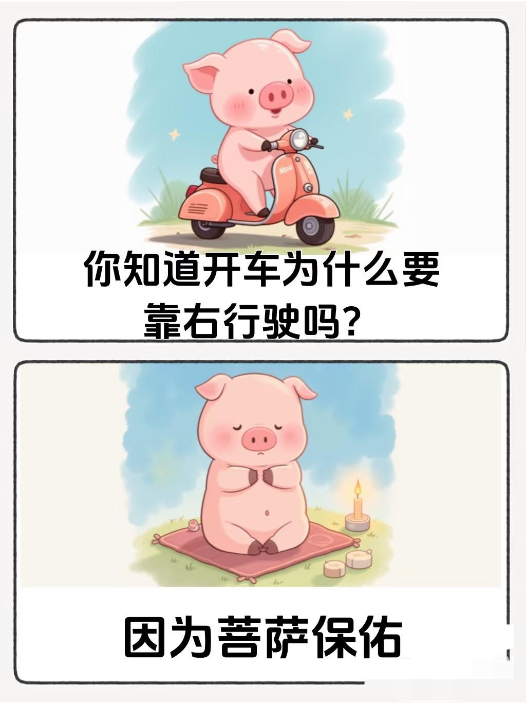 哈哈哈，笑颠了幽默搞笑好颠的世界离谱但合理合理但有病