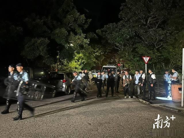 香港元朗女子深夜殒命，3狗被捕：香港百亿宠物市场，为何不牵绳只罚款不到半年狗粮钱