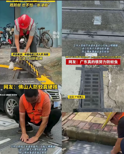 全球首创的水淹灭蚊项目[呲牙笑]为灭蚊，首创在街道排水口装纱窗。结果一场暴雨