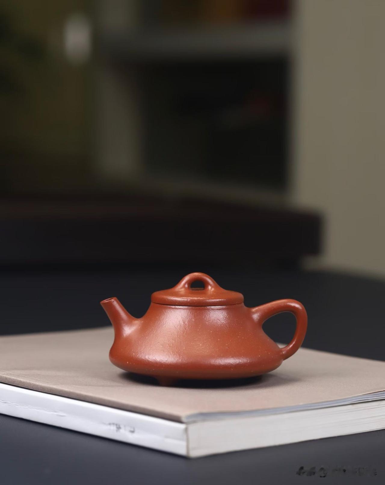 师傅，我这壶上怎么全是黑点会不会是假壶？您是不是也是这样认为的？前两天，有个玩