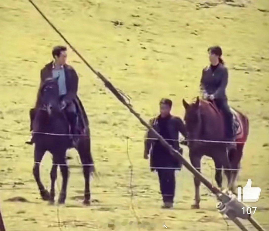 再一次对杨紫生命树马上要来了这件事有了清晰的认知，明天还有新物料，花絮侧拍和混剪