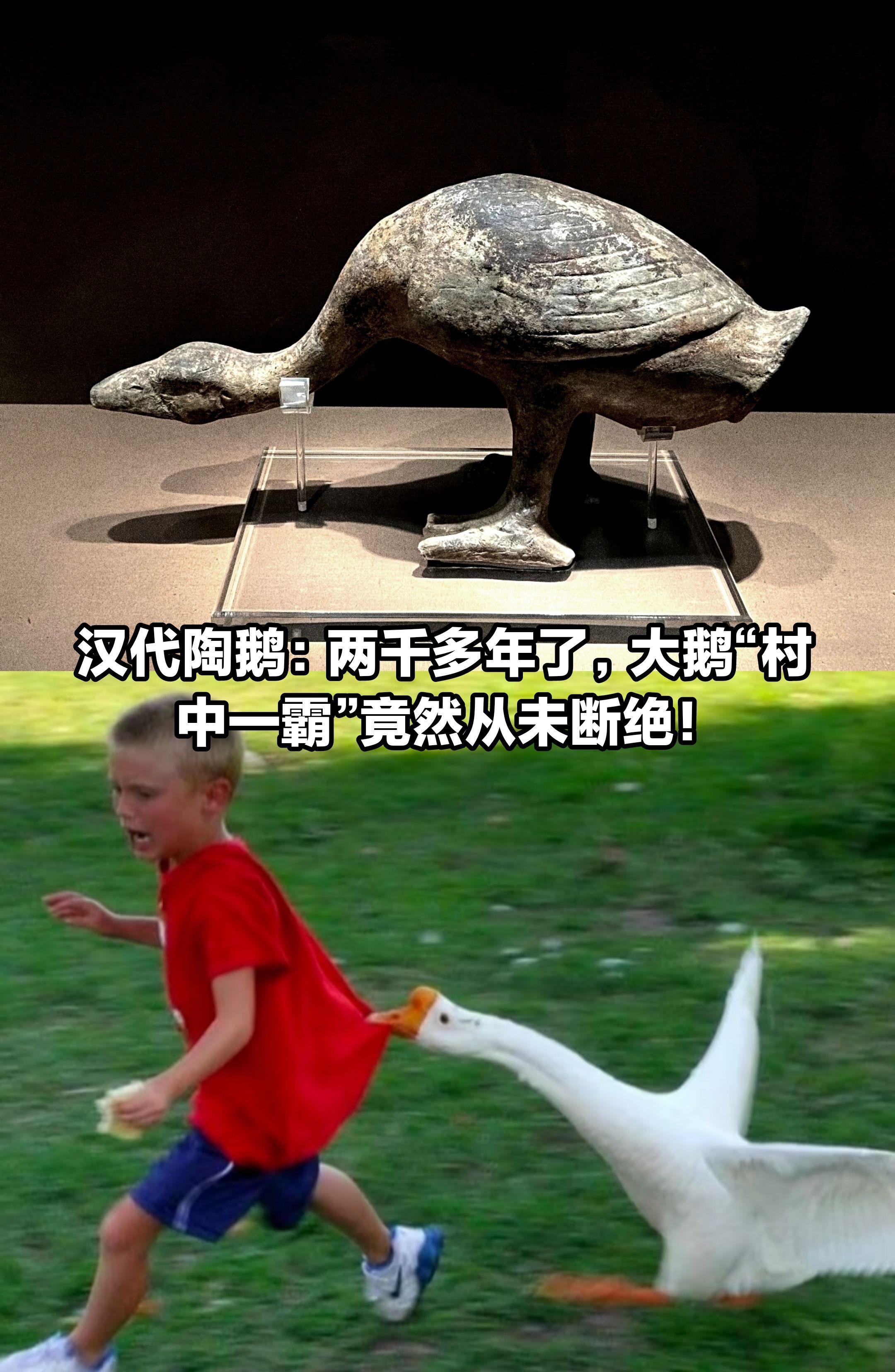 汉代陶鹅：原来两千多年大鹅一直是“村霸”