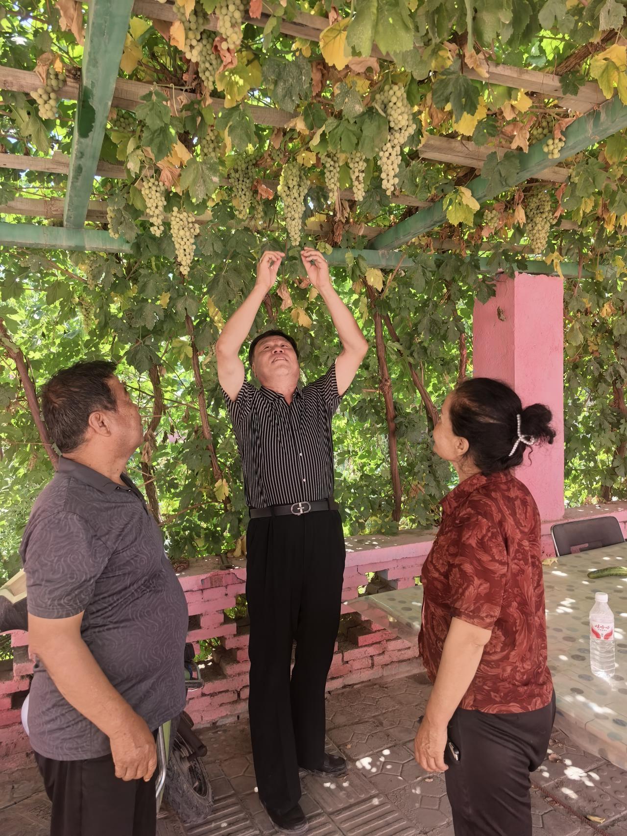 中亚的人种实在太复杂了翻开中亚的历史，会发现这片土地很难用简单的人种标签概