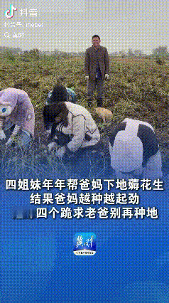 “得寸进尺”！河南商丘，四姐妹年年帮助父母下地薅花生，本想着自己多干点父母就少干