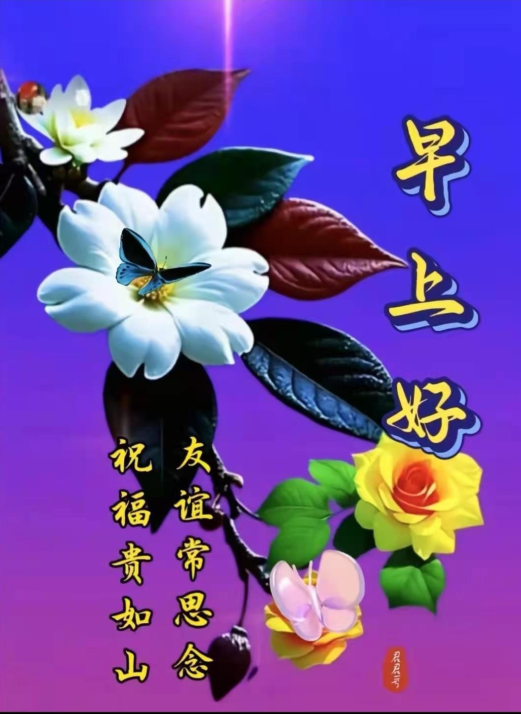 遠去的是悠悠歲月，走近的是片片真情，聽到的是聲聲問候，送上的是天天祝福，