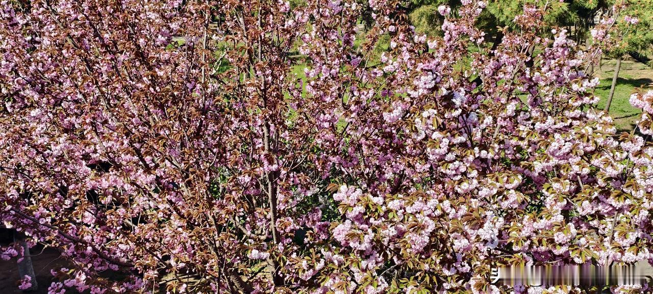 老板吓你“公司要动你”？别慌，你该回他“赔多少？”这种“先吓后糖”的套路，我