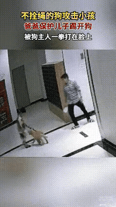 走廊里，狗狗追着男孩嗅，男孩有点害怕，爸爸一脚踢开狗狗，狗主人从后面大步赶上，对