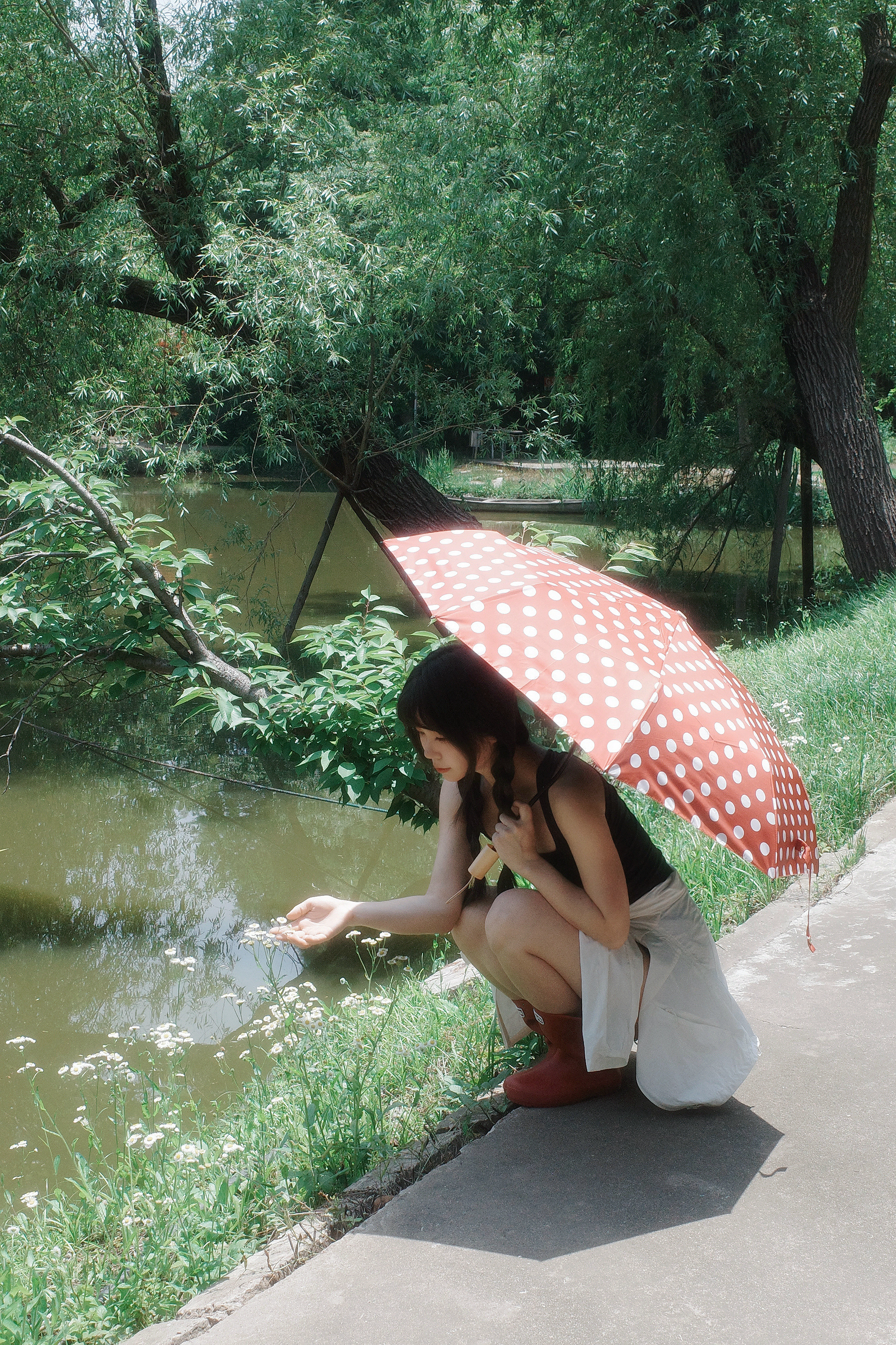 🌳🎞绿意盎然的夏✨🌿🌼在台风天无比想要大太阳夏日写真