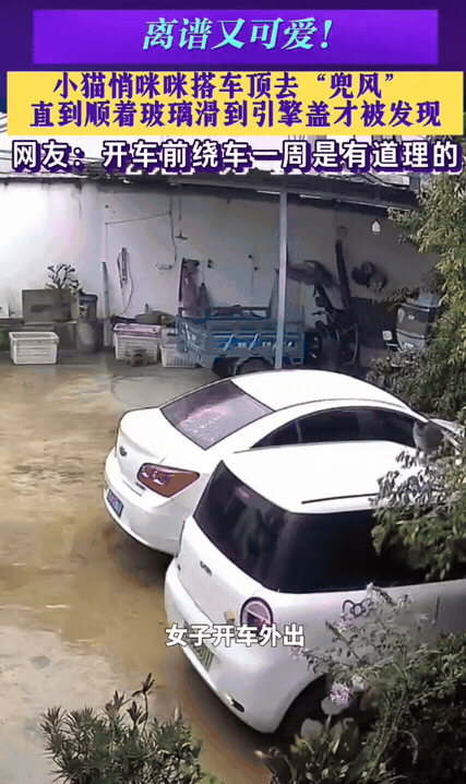 笑喷！云南，一女生准备开车外出，走到车棚直接上车、打火、开走，全程没多想。她开车
