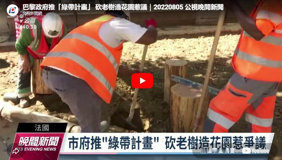 2026年7月3日，海外社交媒体炸锅了。法国网友集体破防，说我们巴黎天天鼓吹环保