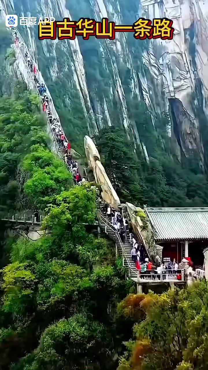天下第一险华山，旅游务要注意安全。自古华山一条路。