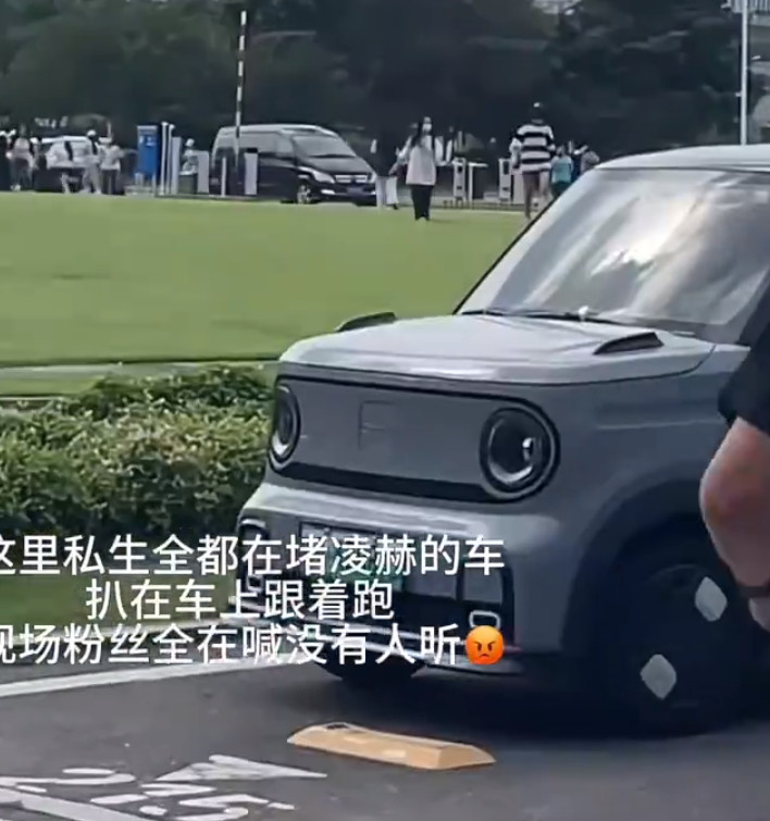 我看了张凌赫工作室发的维权声明，开始以为有些矫情，但看了几段视频，真是觉得私生饭