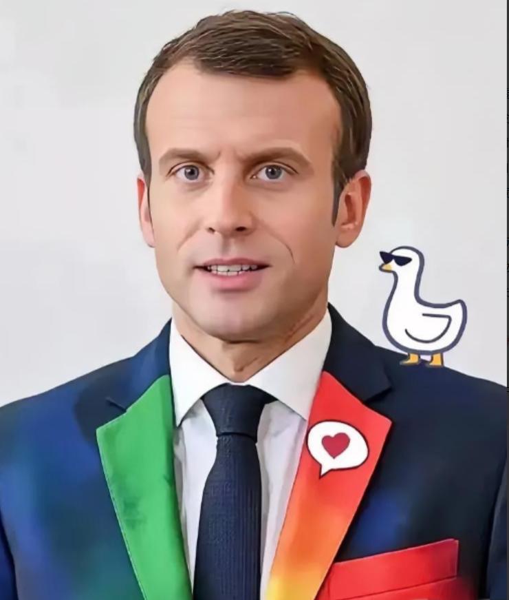 法国总统马克龙宣布。1月15日，法国总统马克龙宣布了一个令人惊讶的消息，首批法