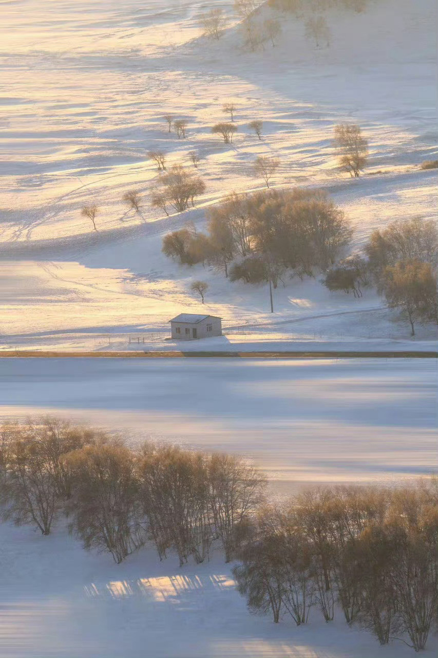 冬季的坝上，像是披上了洁白无瑕的婚纱，神圣纯净，美得让人一见倾心。