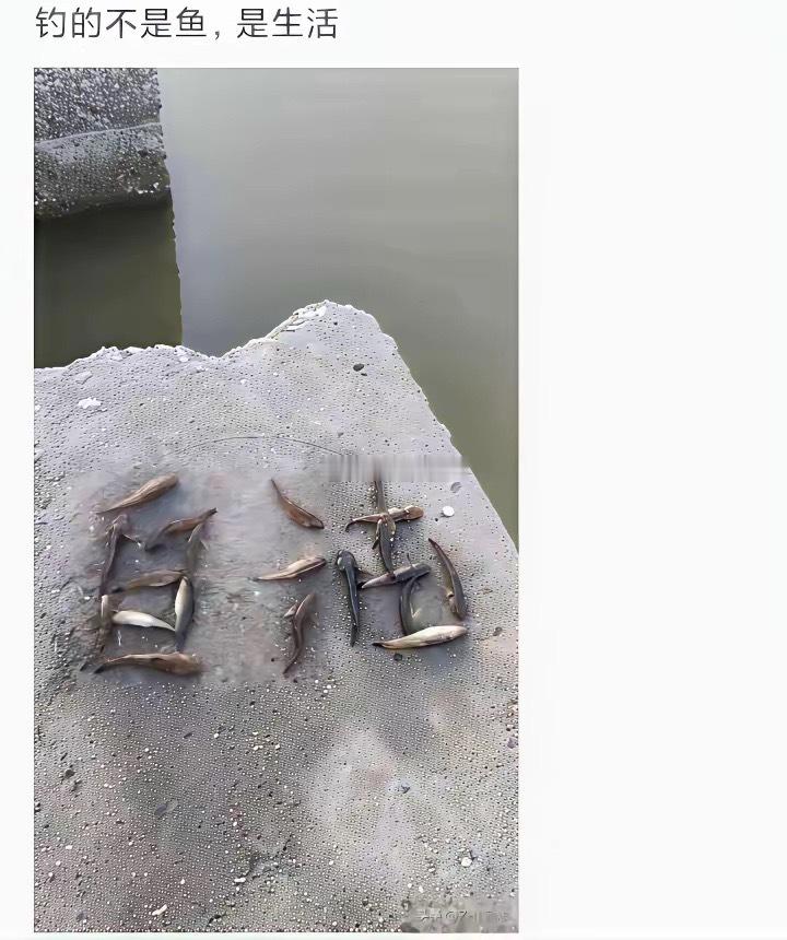 有点文化，但不多
