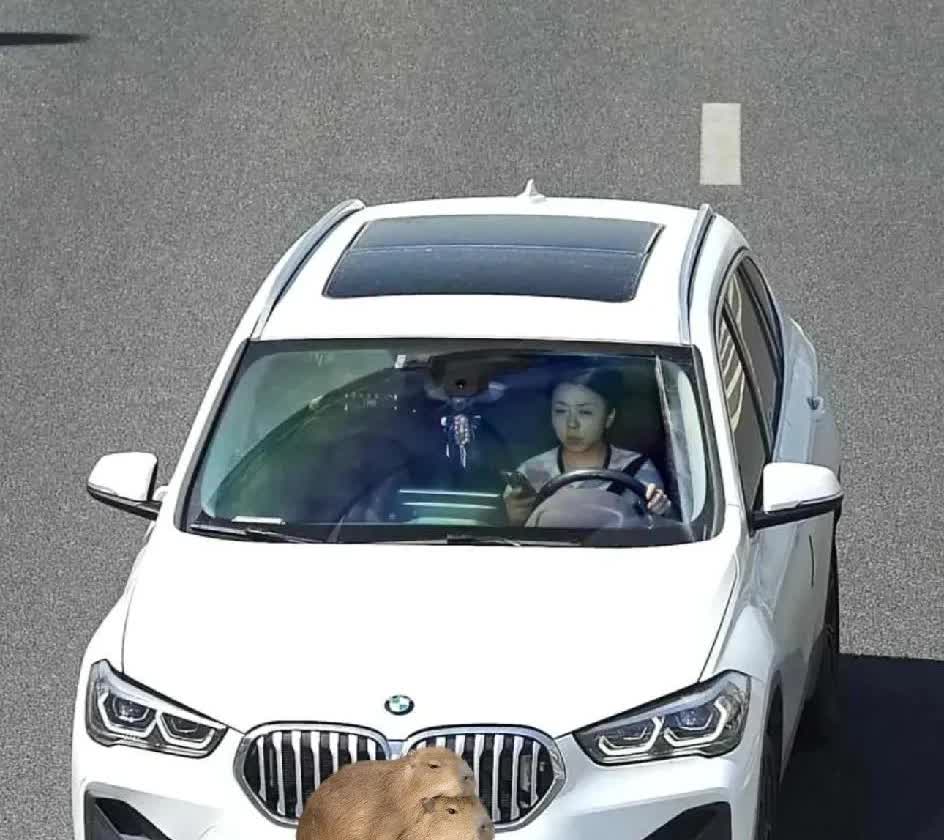 谁懂啊！这违章把我整懵圈了家人们谁懂啊！收到违章短信，盯着照片看了十几