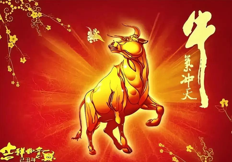 券商已经开始启动了！普涨行情马上来了！个股跑不赢大盘的时代也来了！现在的行情，没