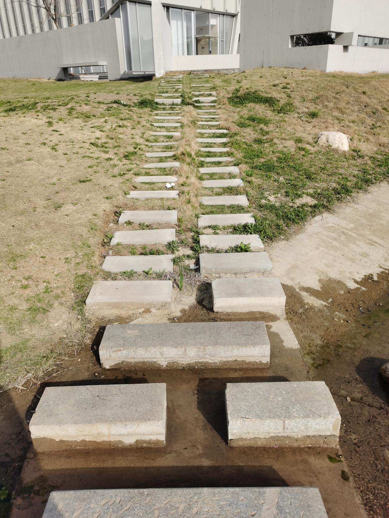 今日运势：丙午年壬辰月庚戌日2026.4.6日鼠：踏实别耍小聪明牛：不