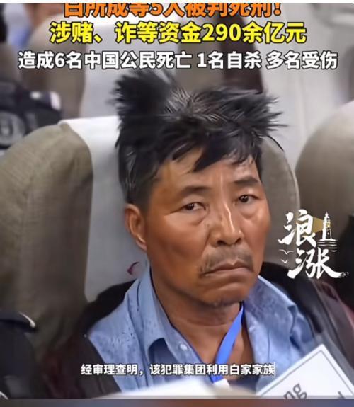 白所成做梦都没想到会被中国审判他以为身为外国人就是免死金牌中国拿他没有办法