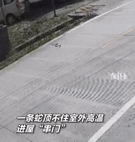 江西男子徒手抓进屋避暑的蛇，转圈捏头放生，邻居都找他帮忙2023年大夏天