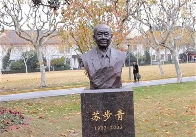 1937年，著名数学家苏步青有一回出门办事去了，他的日本妻子苏米子正在家里洗碗，