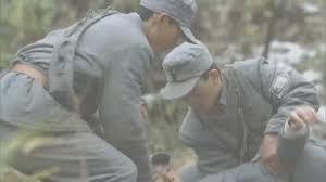 1942年秋，十三岁的放羊娃王石头在山上丢了只羊，正着急找呢，突然听见沟里有哼唧