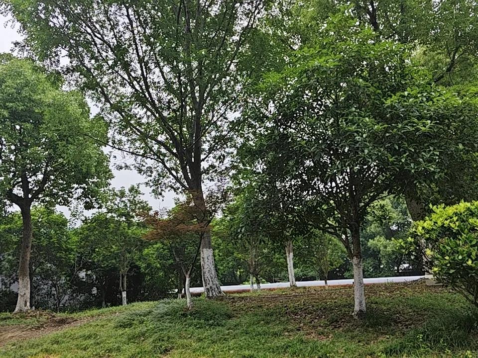 养生最扎心的真相！无数普通人正在亲手毁掉自己！养生从不贵，作死才最贵！普通