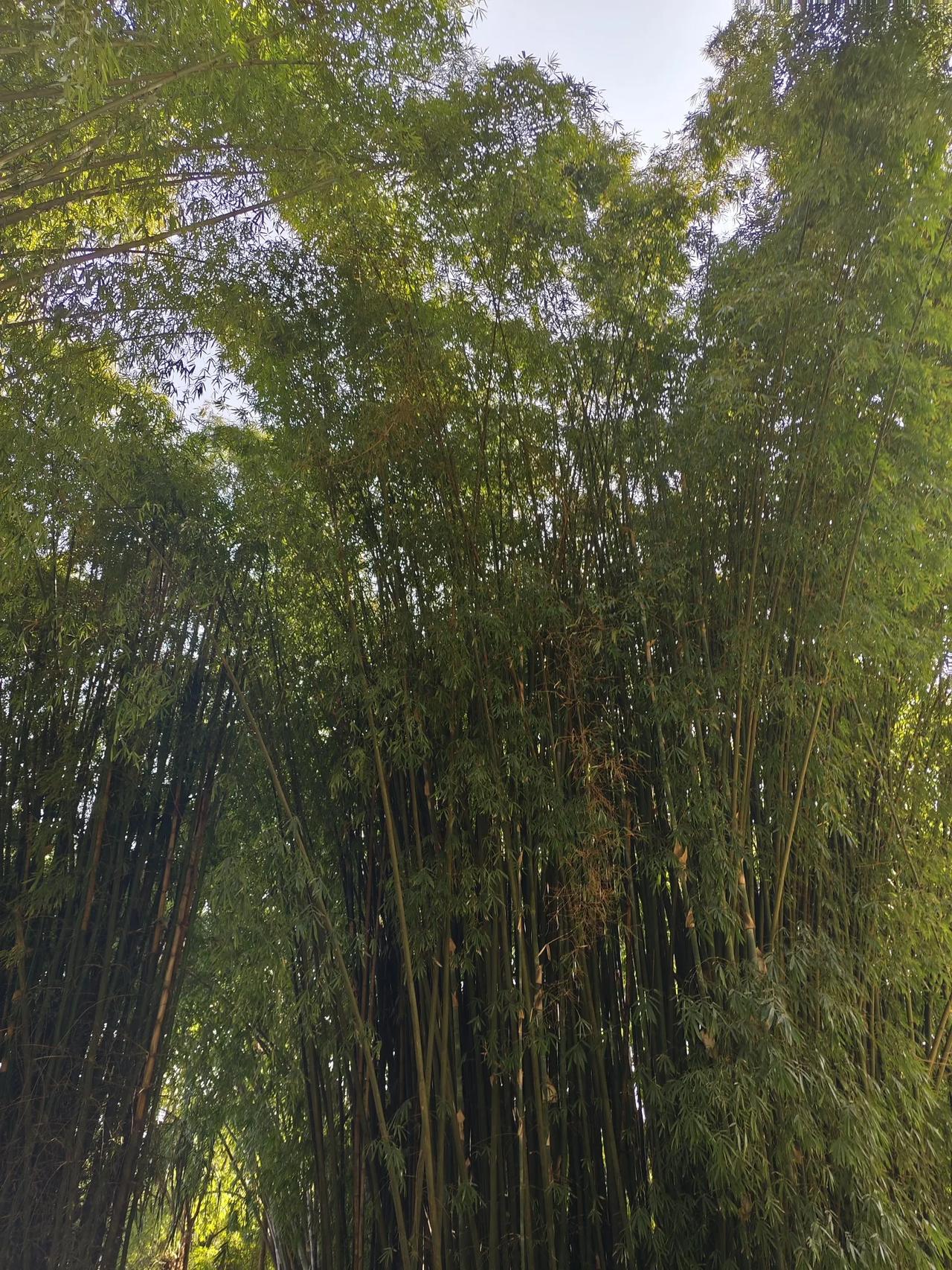 我是个六零后，大半辈子都这么风风火火地过来了。最近啊，身体一直不太好，浑身一点劲