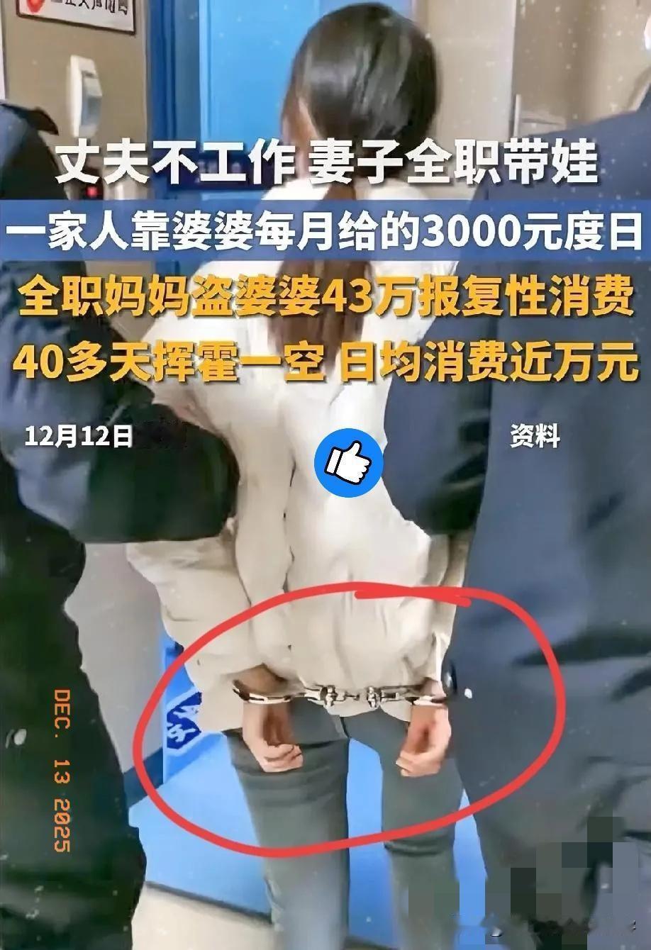 全网最有种的儿媳！偷走婆婆43万！带闺蜜去KTV挥霍一空！12月12日湖