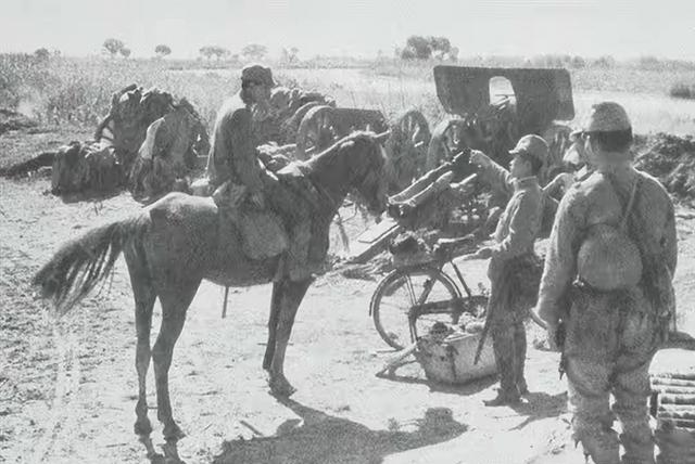 骡马化也不是农业国可以碰瓷的，像日军的东洋马，6匹就可以拉着900余公斤的三八式