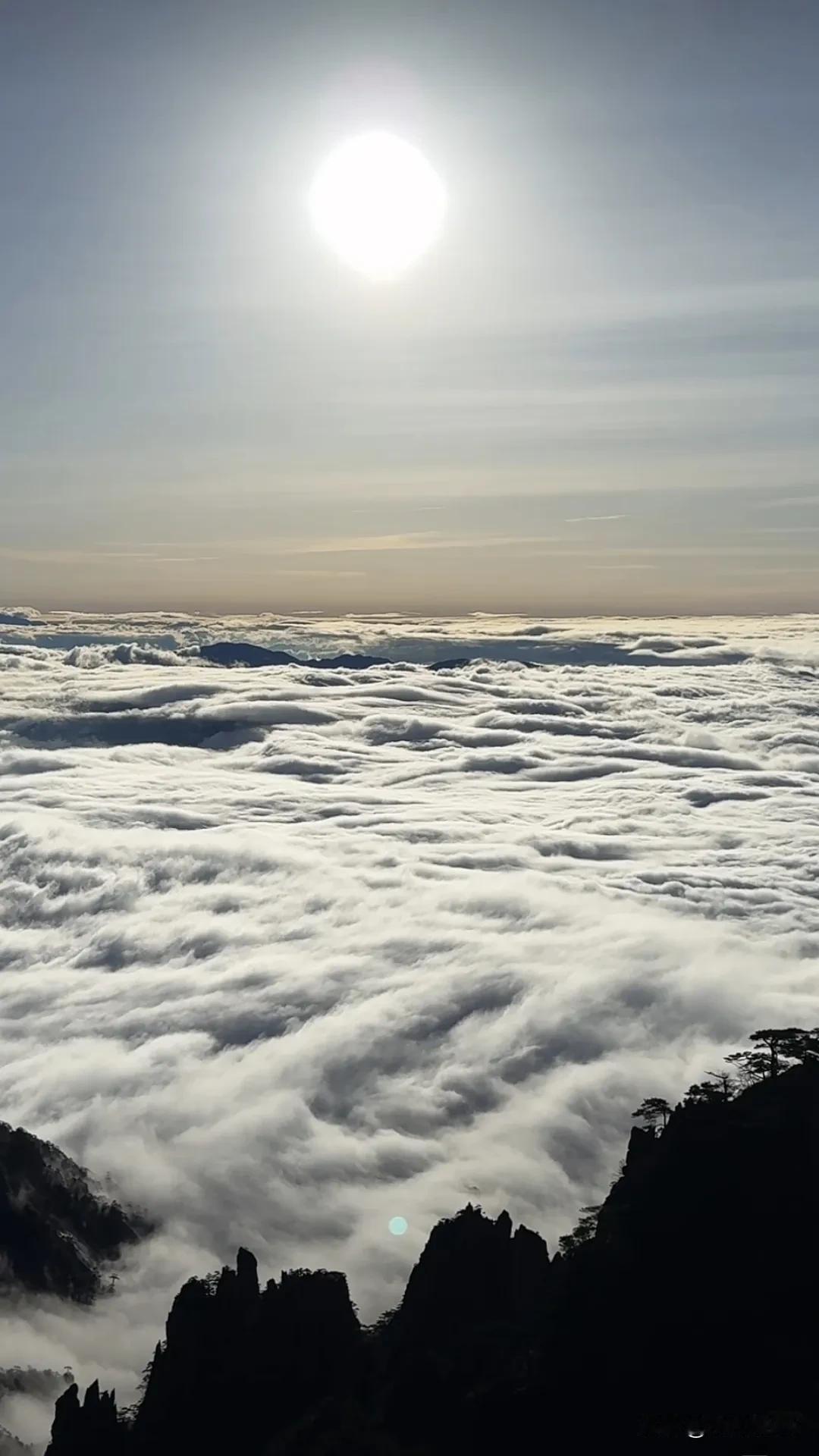 黄山38节妇女免票活动超棒。2025年3月3-9日，不仅是黄山风景区，而且花