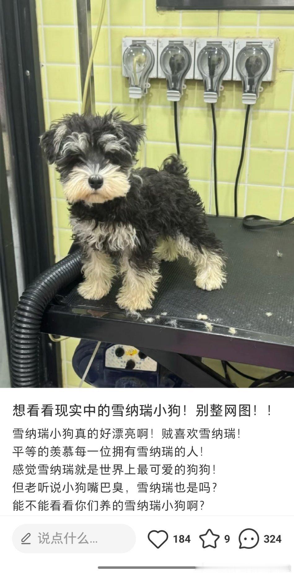 这个评论区好多刘呆米的图[doge][doge]​​​