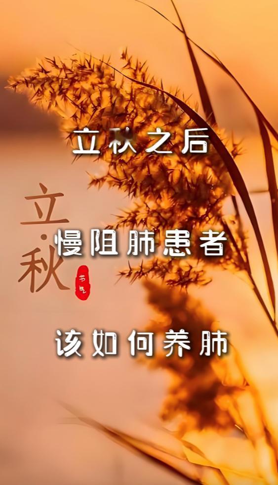 立秋之后，慢阻肺患者，该如何养肺。立秋后，天气渐凉干燥，慢阻肺患者呼吸道易受刺激