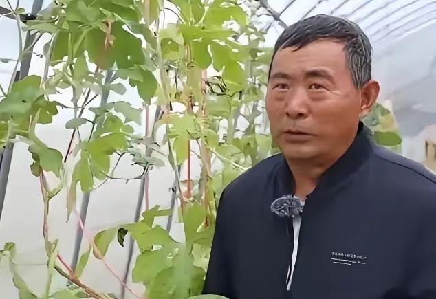 真正的高手，永远在民间！谁能想到，无数美日顶尖专家、博士团队，砸了数亿资金、钻研