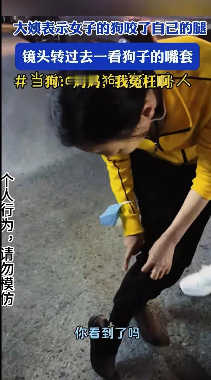 大妈硬说狗咬她了，狗一脸懵逼，俺可戴着嘴套呢！[捂脸哭]