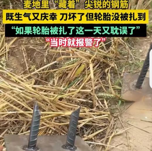 要判就判个三五年，必须对麦田偷放