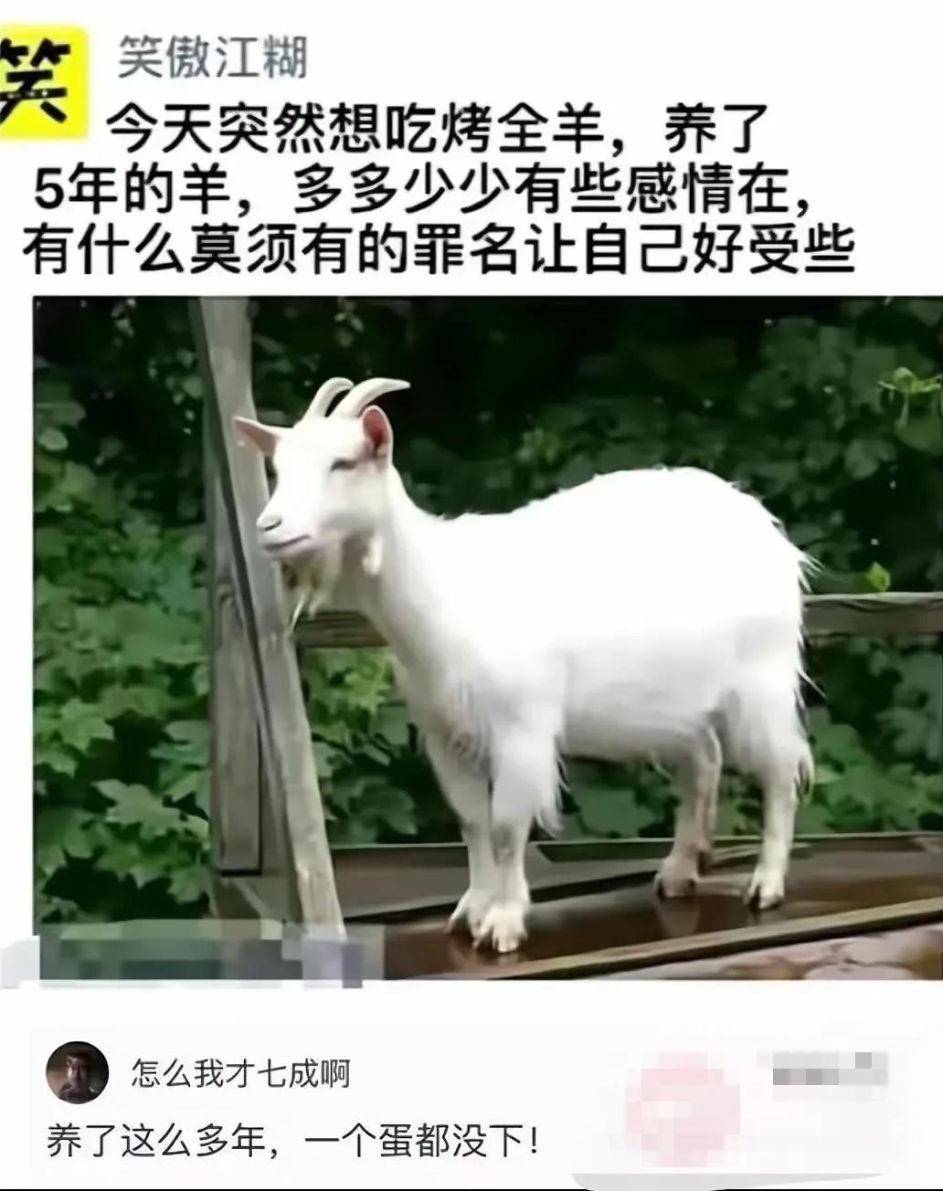 这个理由，冠冕堂皇，可行！