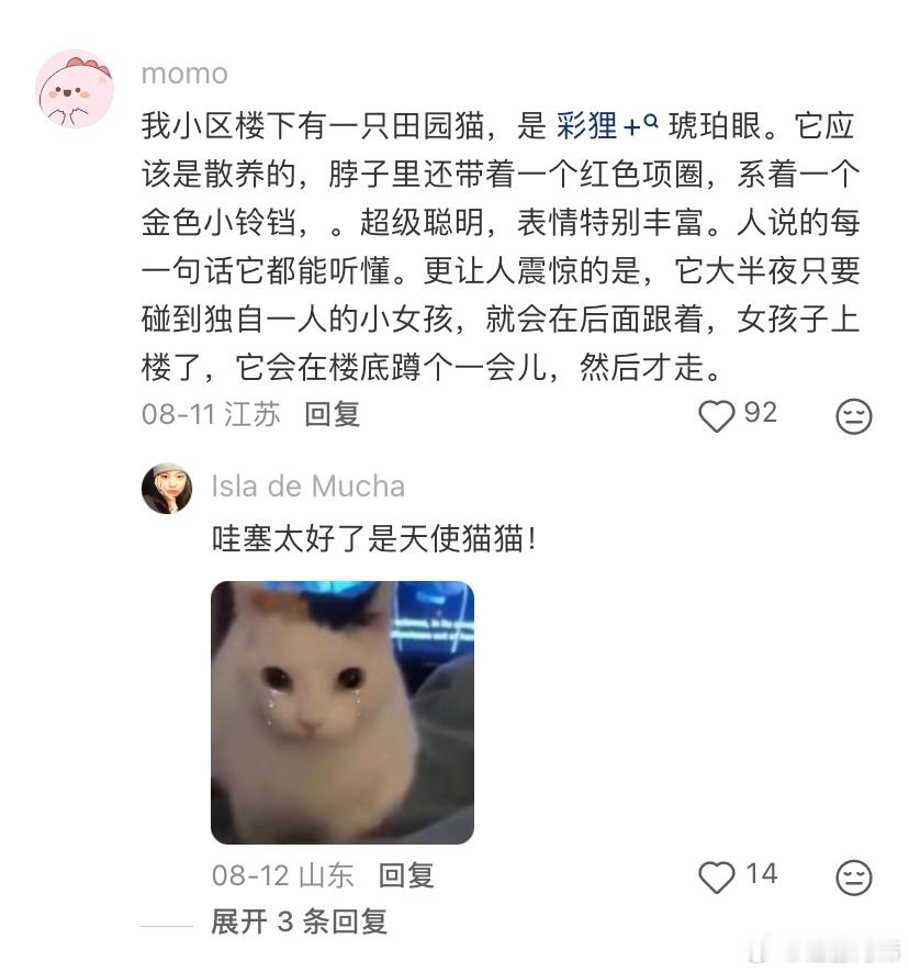 感觉田园猫表情特别丰富​​​