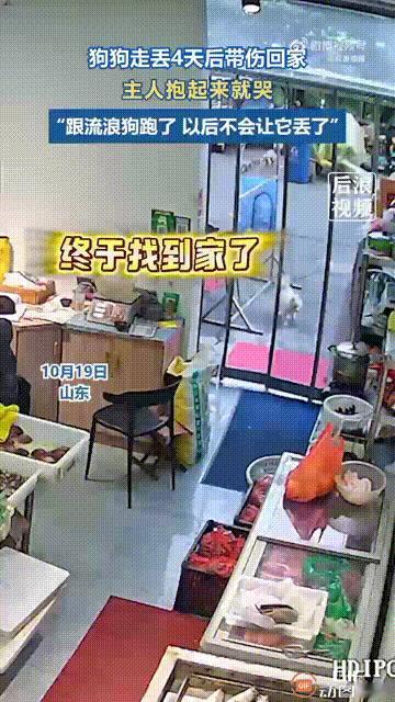 山东一名女子养了一只小狗，本来她和小狗一直形影不离，带到店里的时候也会给它拴绳，