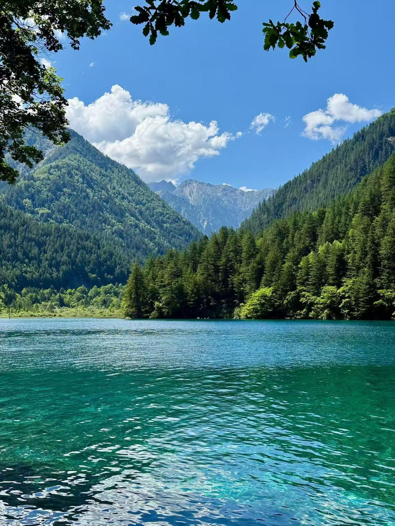22℃人间仙境🌿九寨沟夏日打卡攻略!🌊【夏天去九寨沟】6-10月是九寨丰