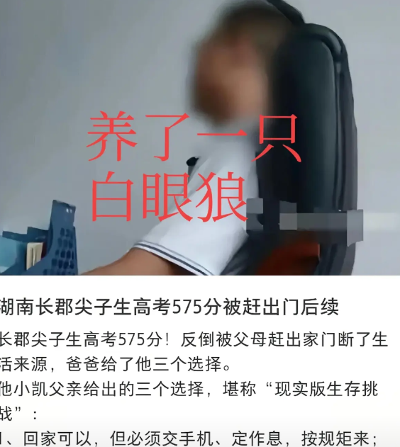 这孩子玩手机已经“魔怔”了，大逆不道，难怪父母那么生气，不仅仅是他学习成绩下降的