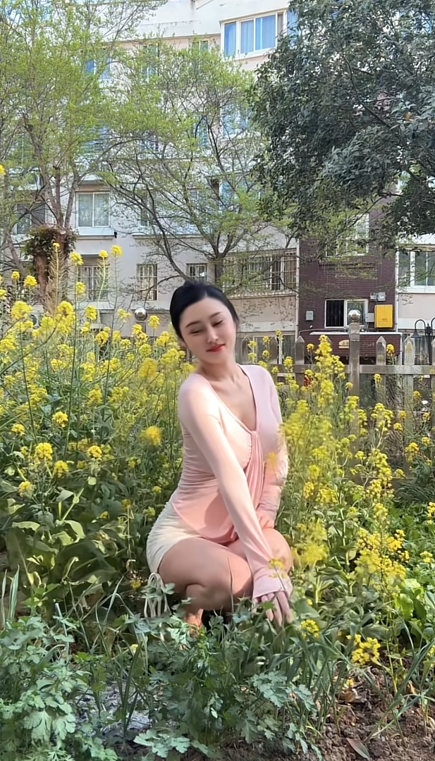 家里养的小菊花终于开啦！！！